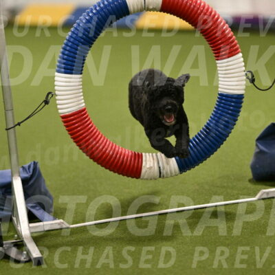 Nixie-Stacie-Rosenburg-00429