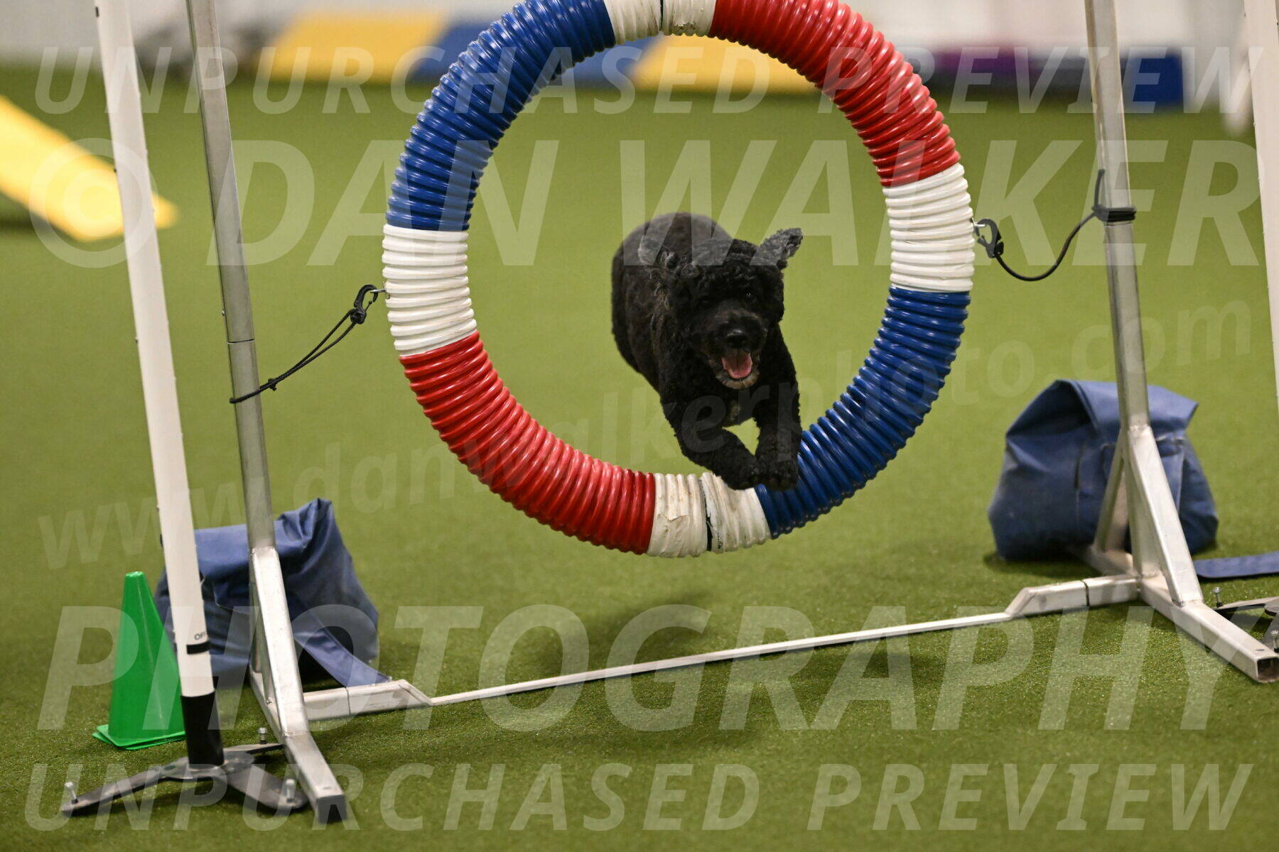 Nixie-Stacie-Rosenburg-00429