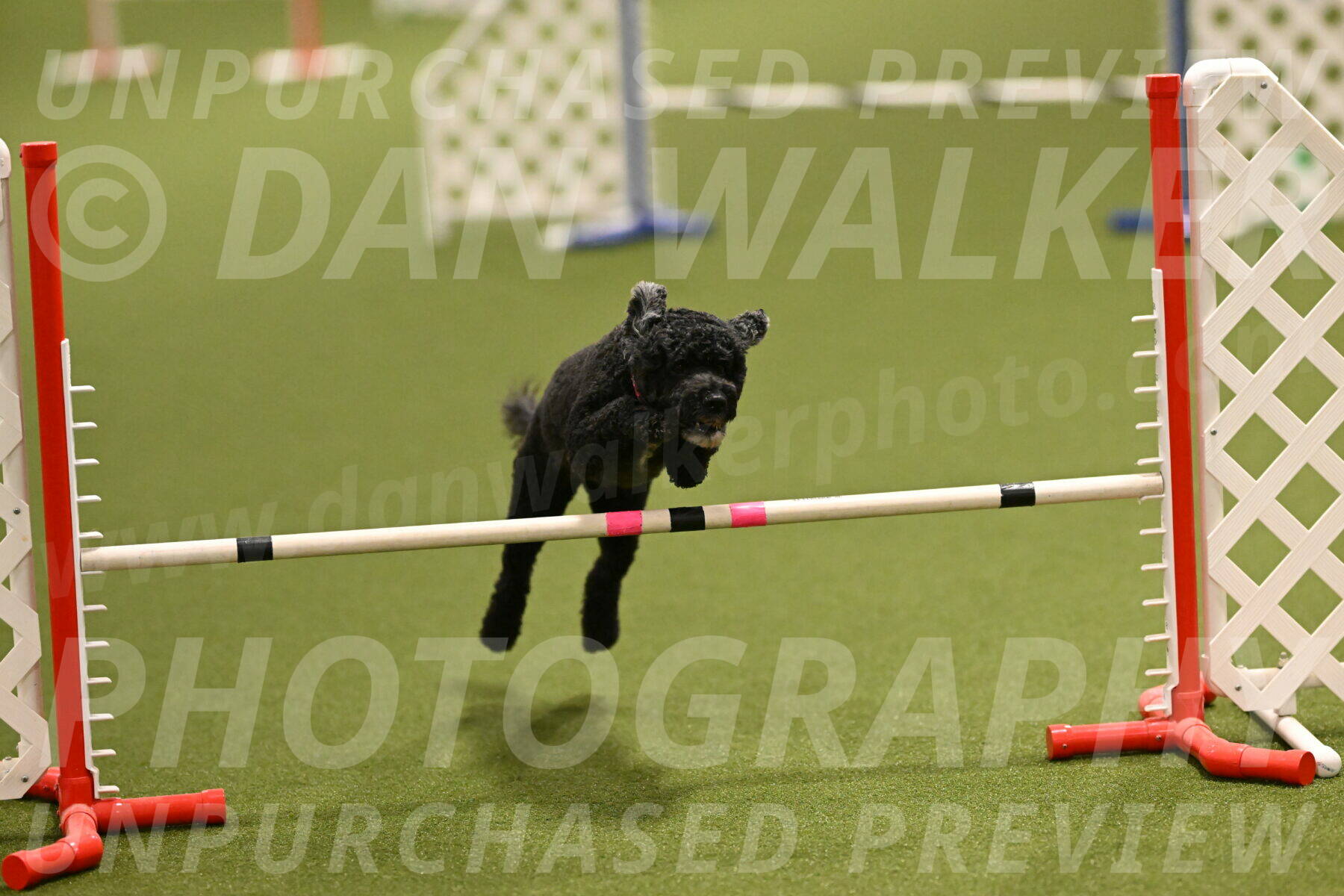 Nixie-Stacie-Rosenburg-00430