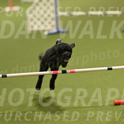 Nixie-Stacie-Rosenburg-00430