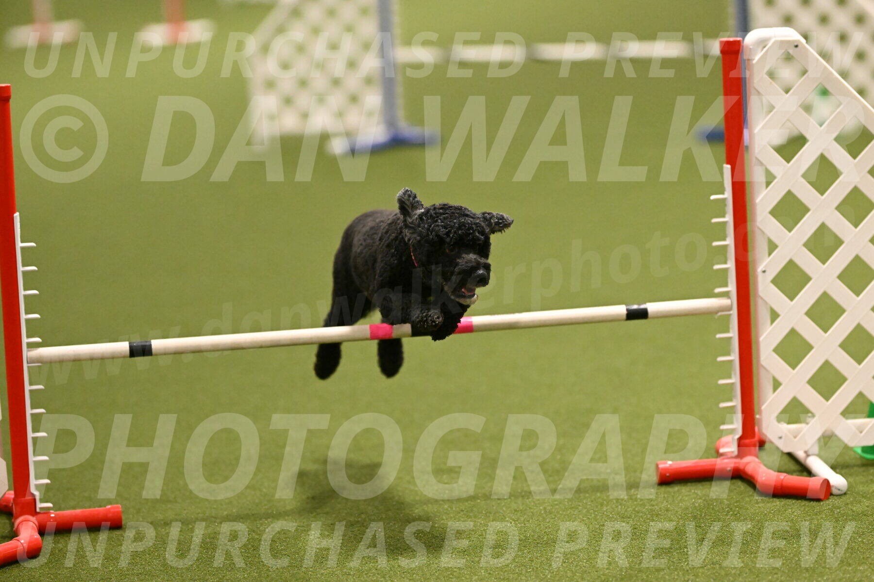 Nixie-Stacie-Rosenburg-00431