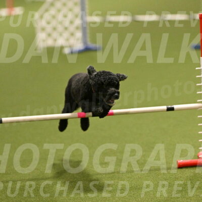 Nixie-Stacie-Rosenburg-00431