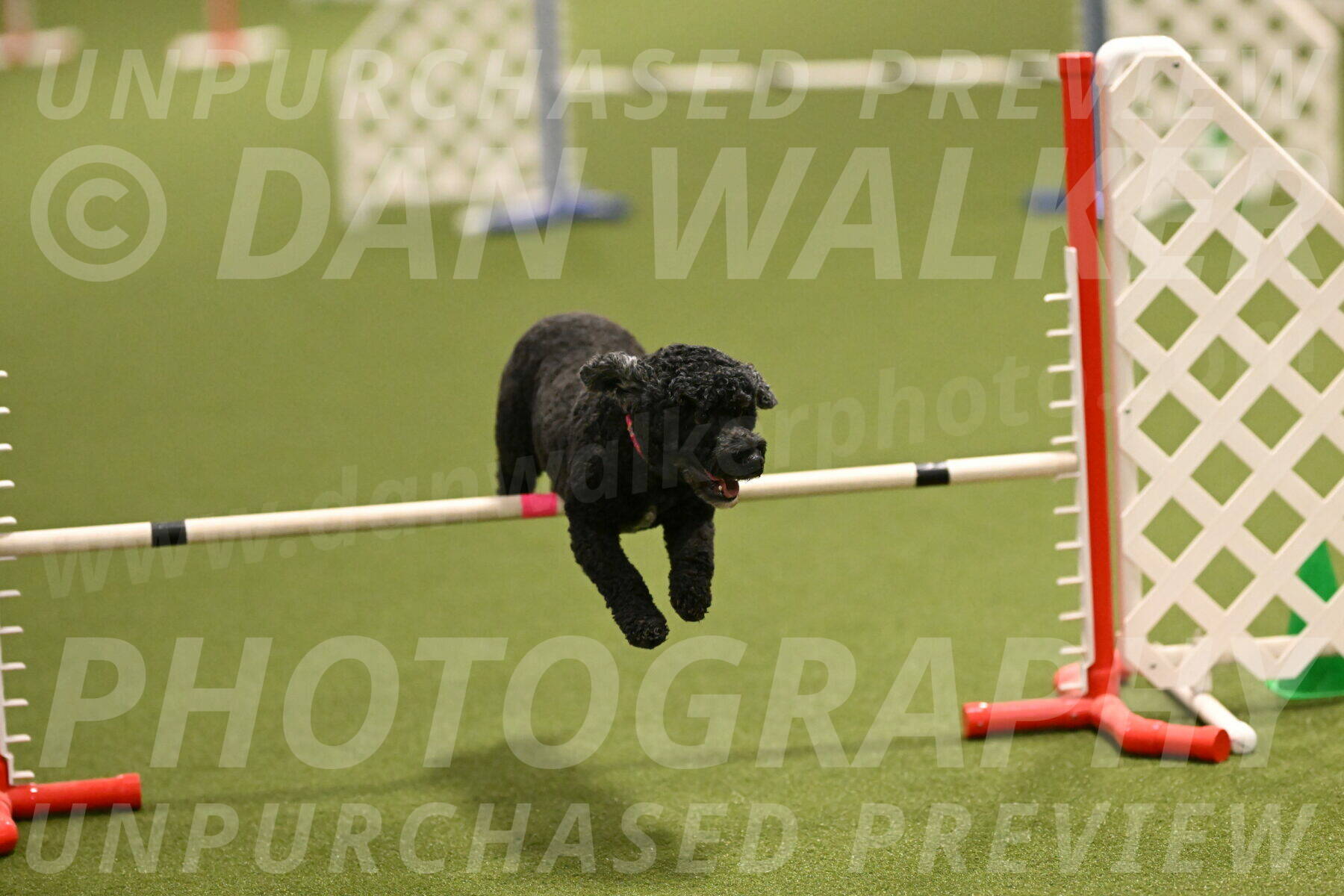 Nixie-Stacie-Rosenburg-00432