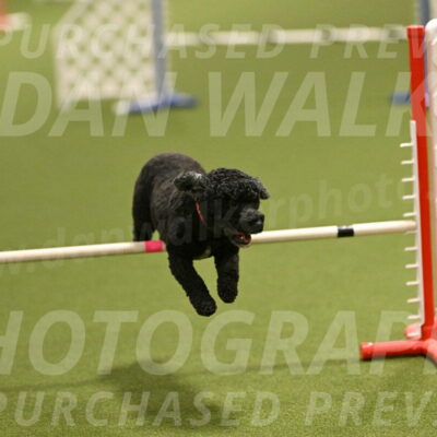 Nixie-Stacie-Rosenburg-00432