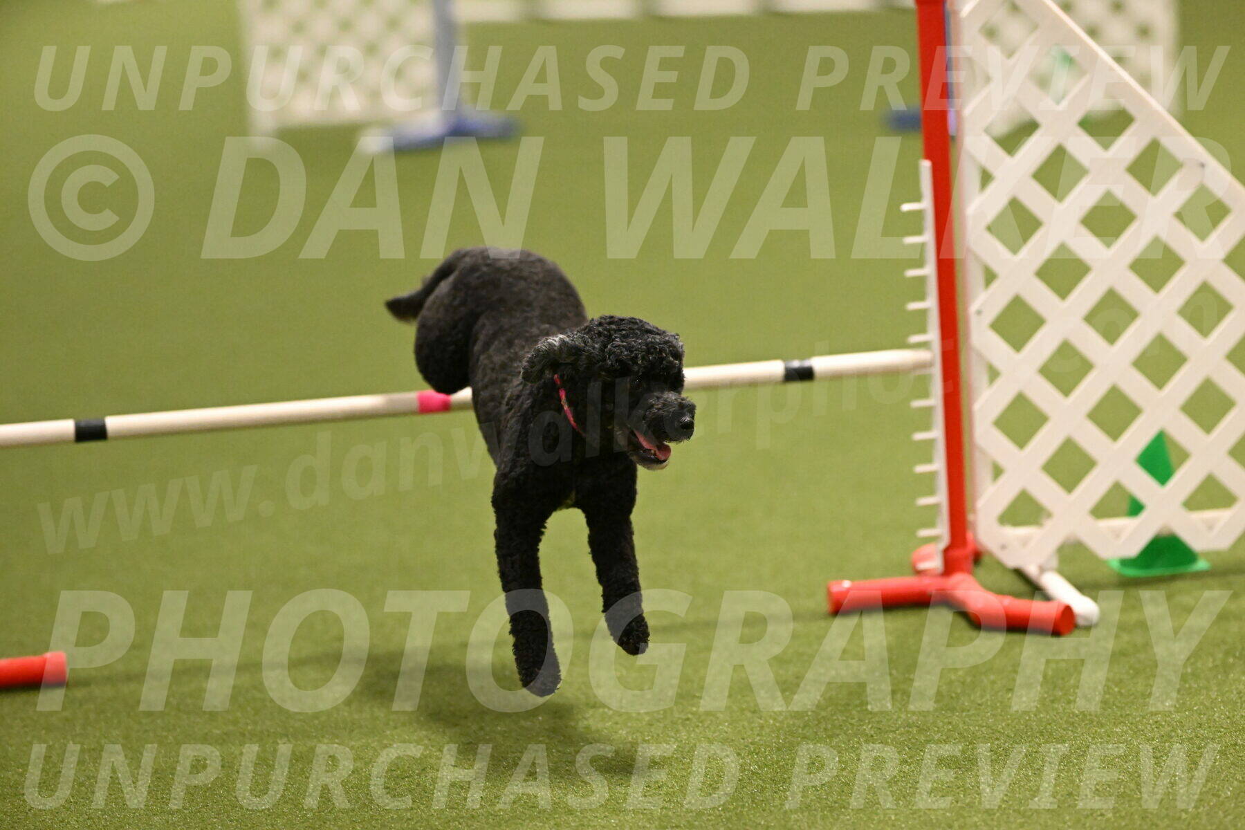 Nixie-Stacie-Rosenburg-00433