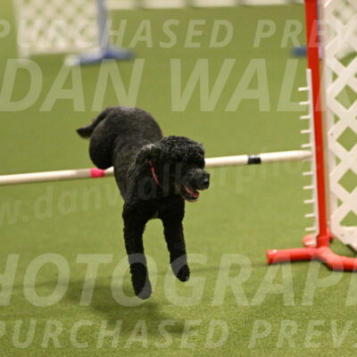 Nixie-Stacie-Rosenburg-00433