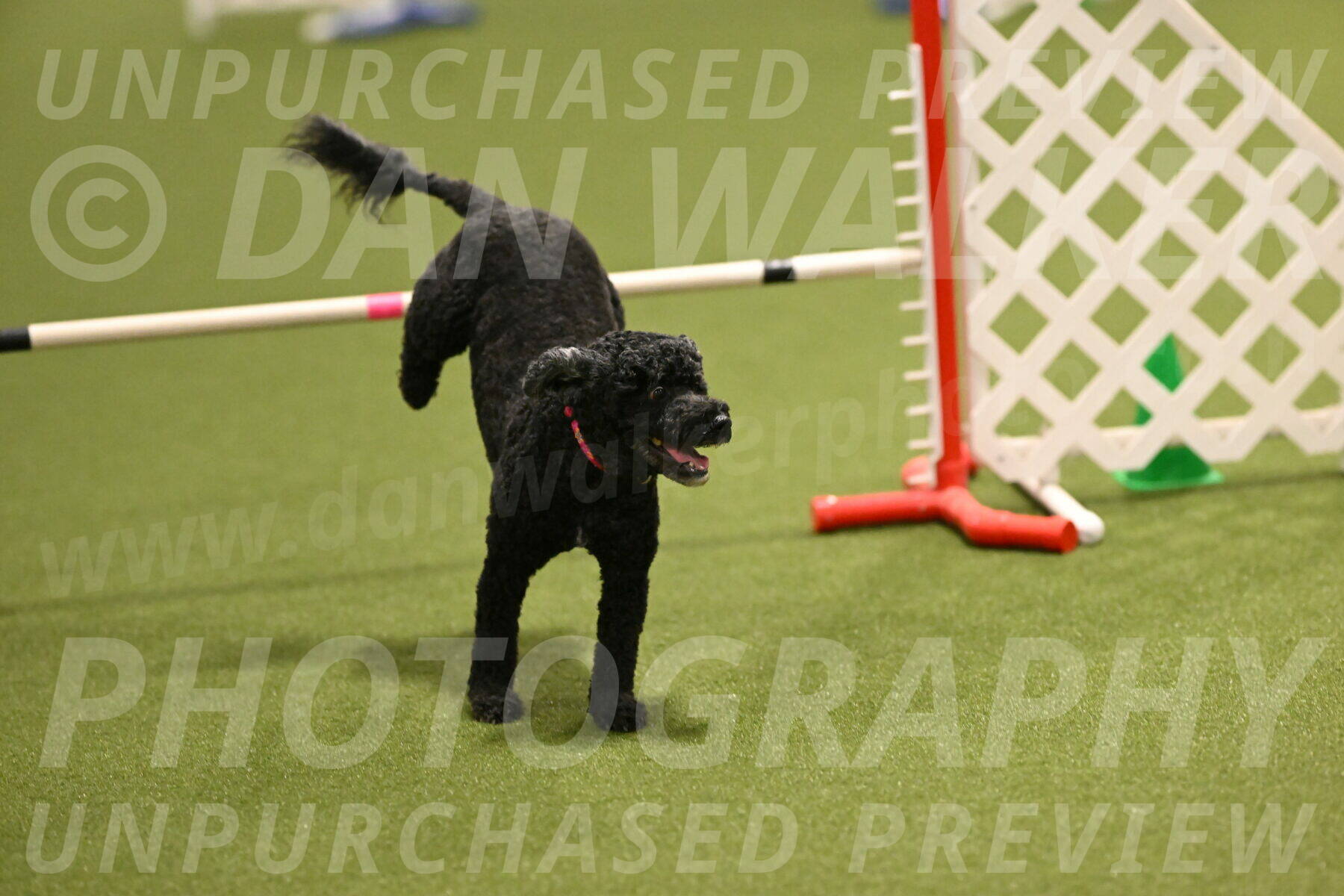 Nixie-Stacie-Rosenburg-00434