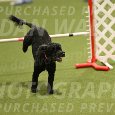 Nixie-Stacie-Rosenburg-00434