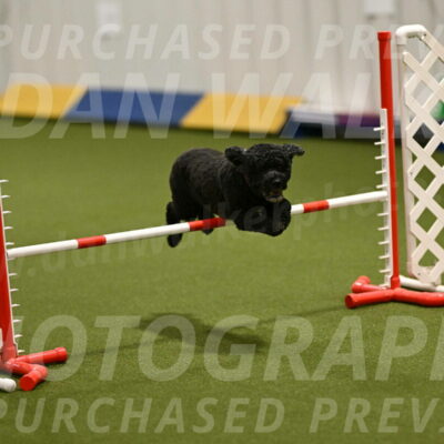 Nixie-Stacie-Rosenburg-00435