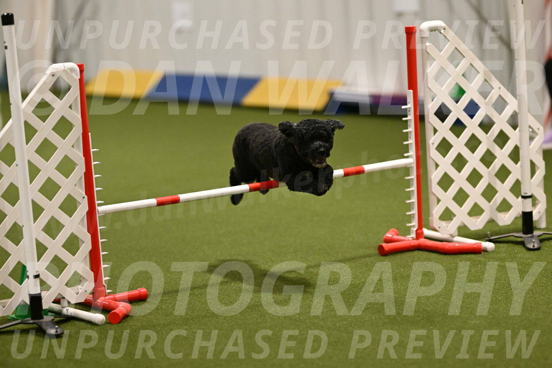 Nixie-Stacie-Rosenburg-00435