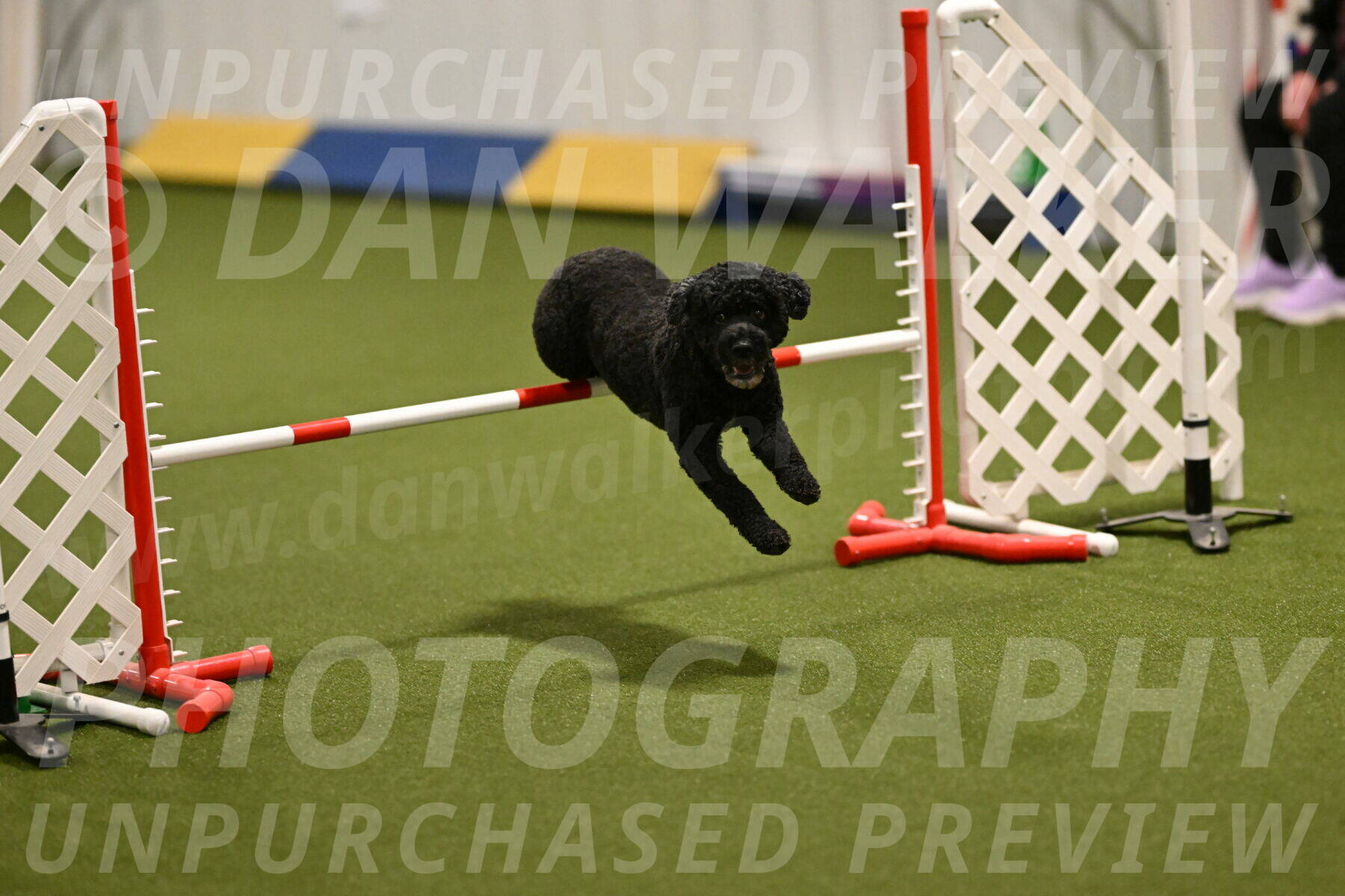 Nixie-Stacie-Rosenburg-00436