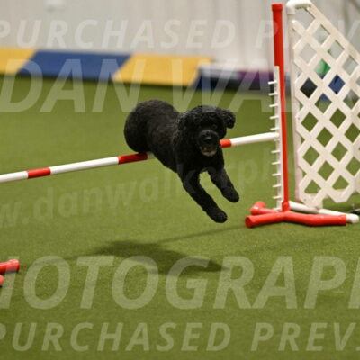 Nixie-Stacie-Rosenburg-00436