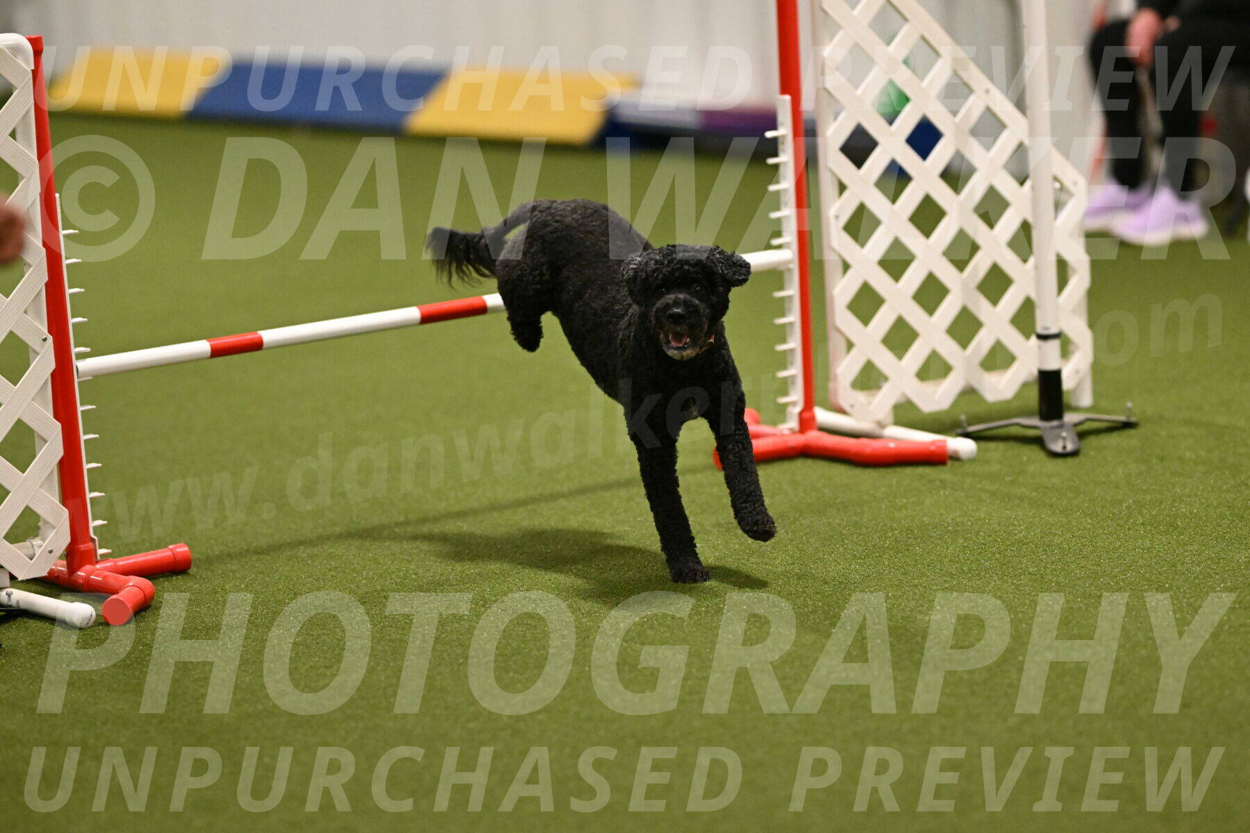 Nixie-Stacie-Rosenburg-00437