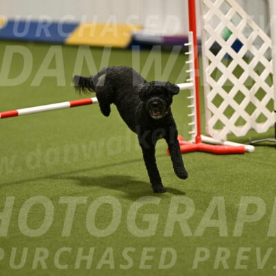 Nixie-Stacie-Rosenburg-00437