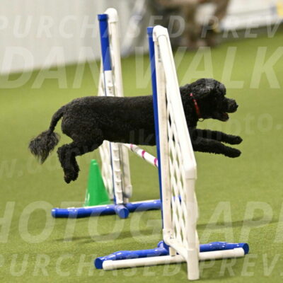 Nixie-Stacie-Rosenburg-00438