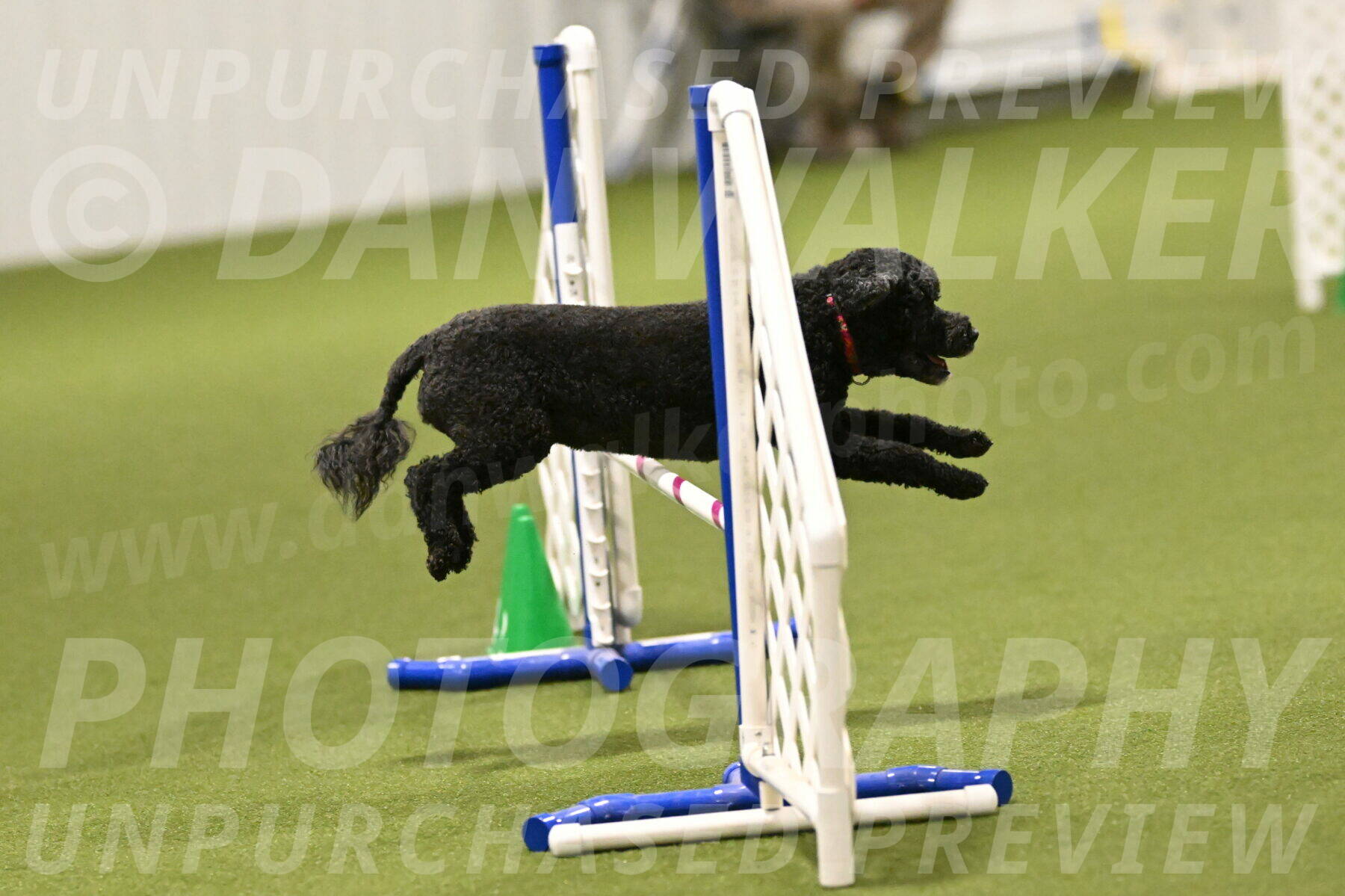 Nixie-Stacie-Rosenburg-00438