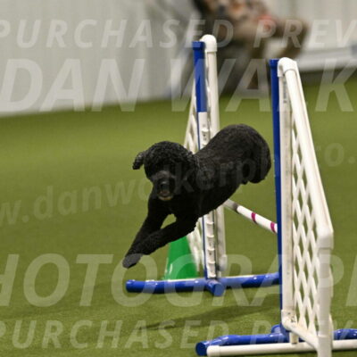 Nixie-Stacie-Rosenburg-00439