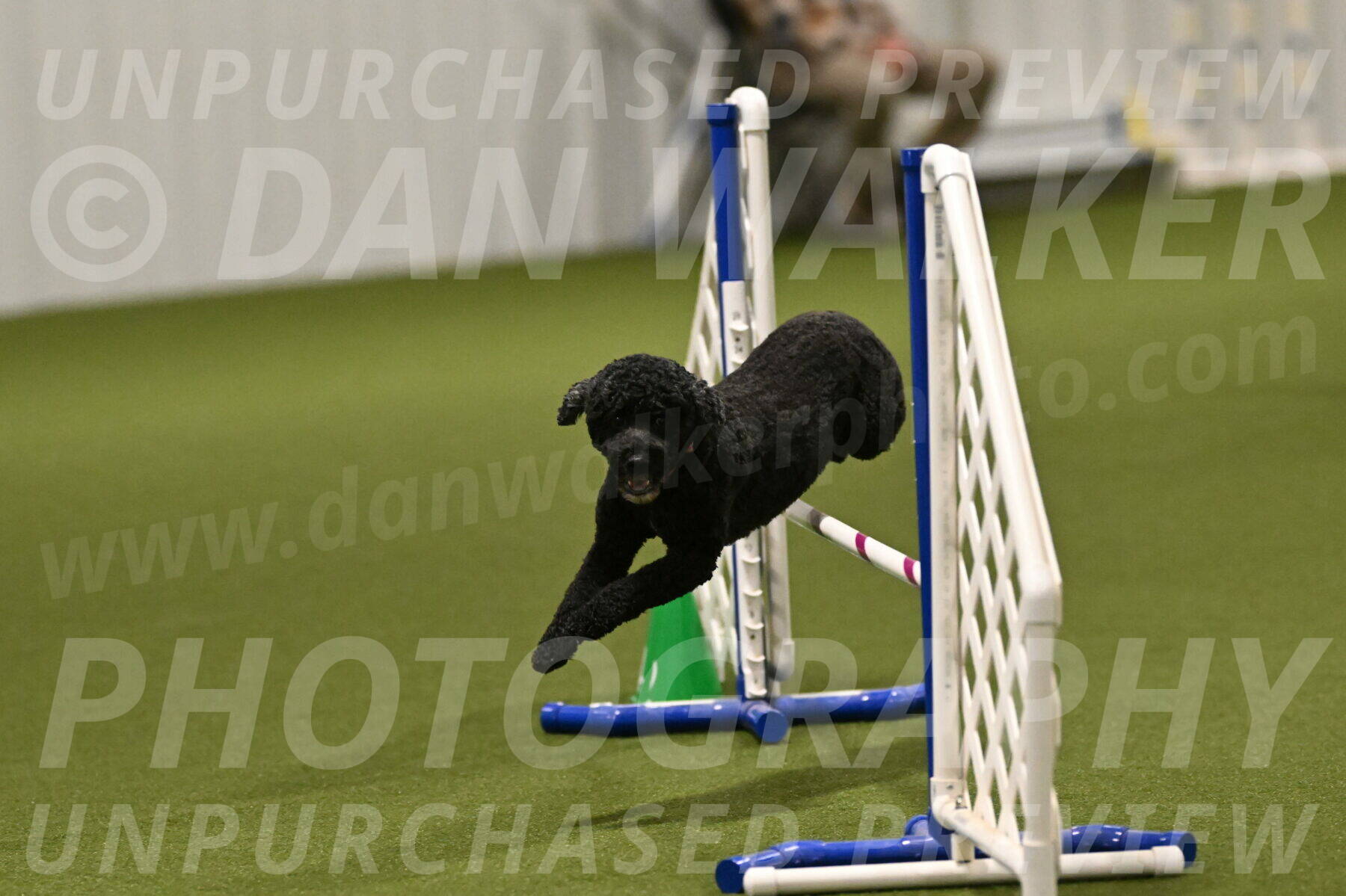 Nixie-Stacie-Rosenburg-00439