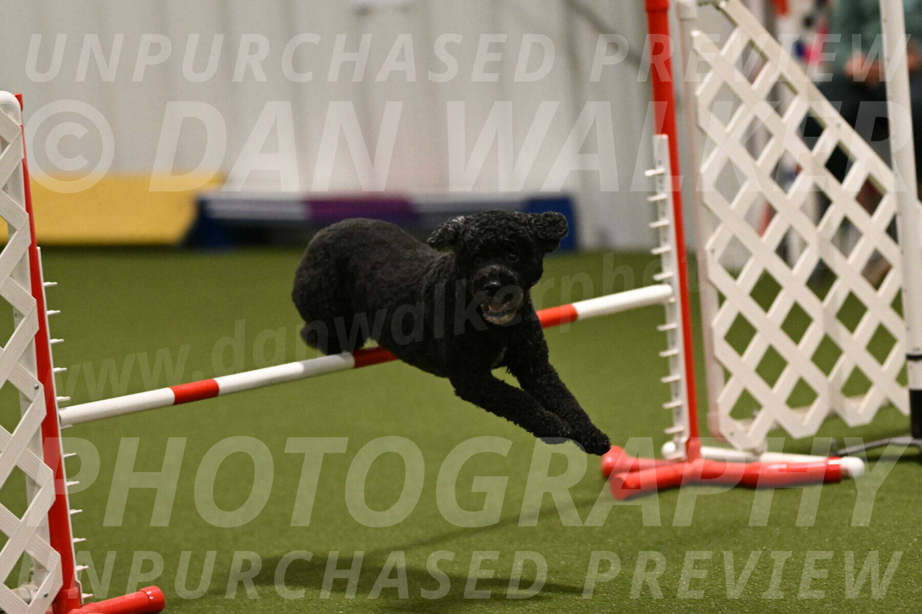 Nixie-Stacie-Rosenburg-00440