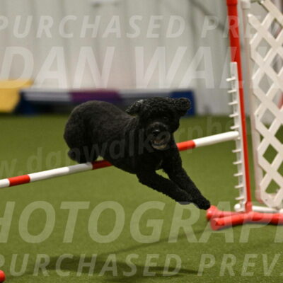 Nixie-Stacie-Rosenburg-00440