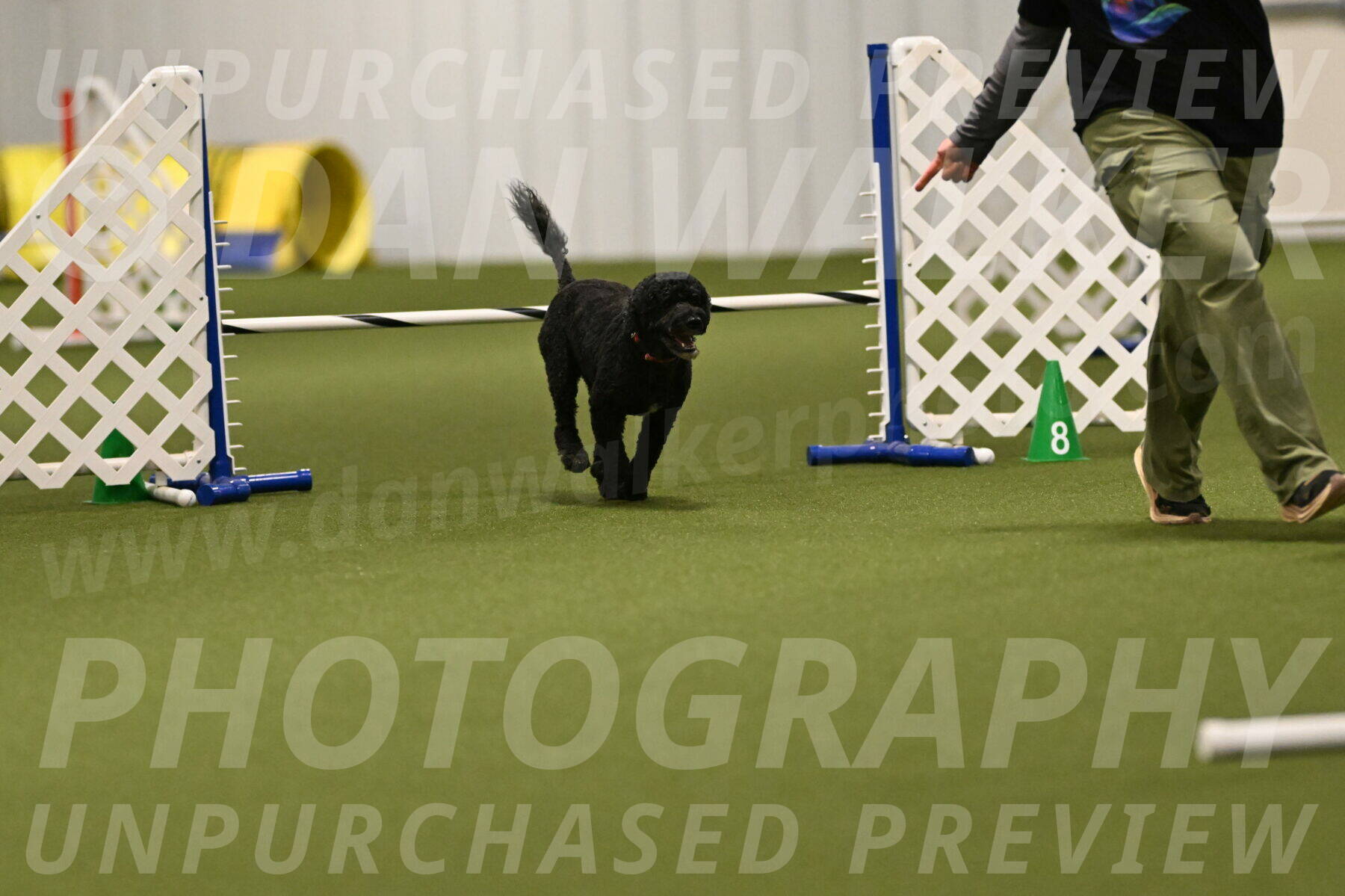 Nixie-Stacie-Rosenburg-00442