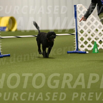 Nixie-Stacie-Rosenburg-00442