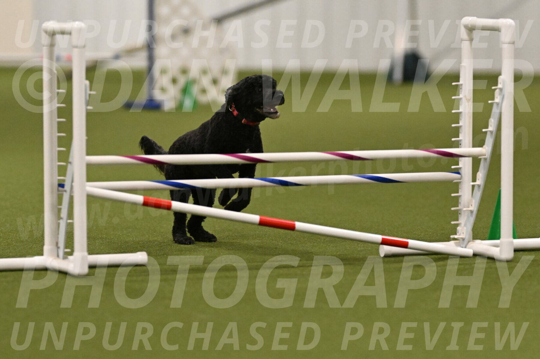 Nixie-Stacie-Rosenburg-00443