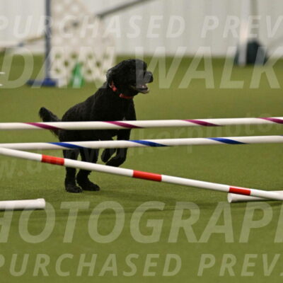 Nixie-Stacie-Rosenburg-00443