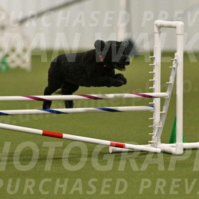 Nixie-Stacie-Rosenburg-00444