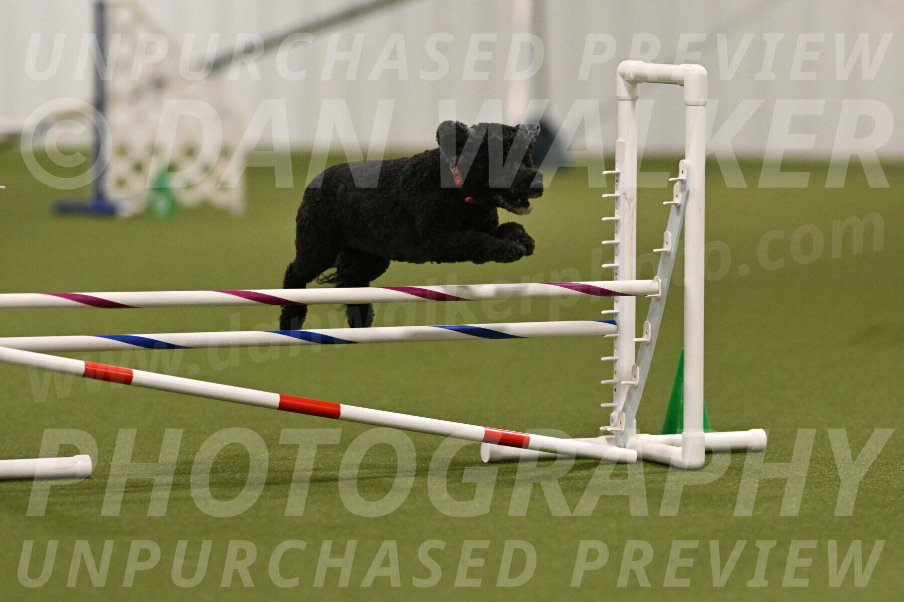 Nixie-Stacie-Rosenburg-00444