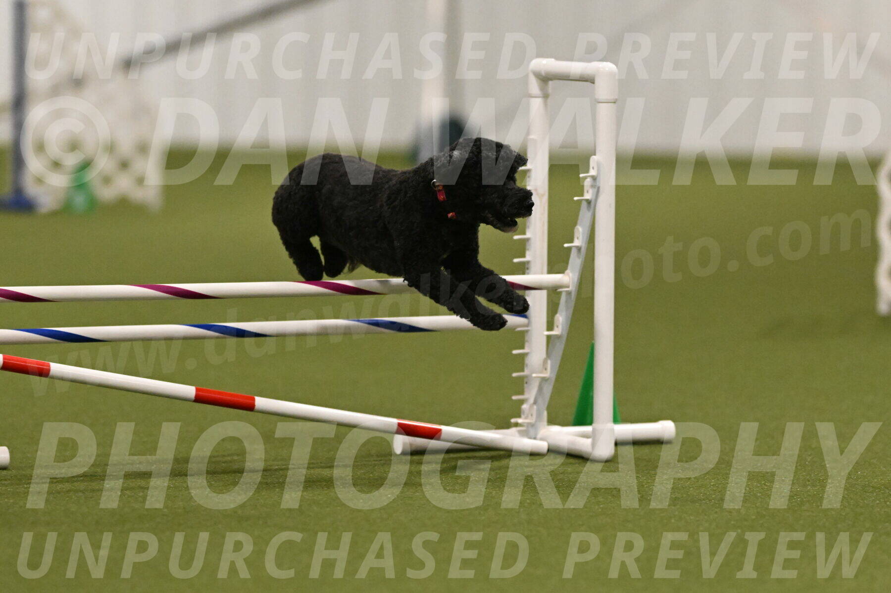 Nixie-Stacie-Rosenburg-00445