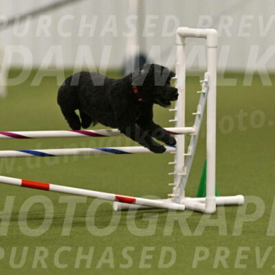 Nixie-Stacie-Rosenburg-00445