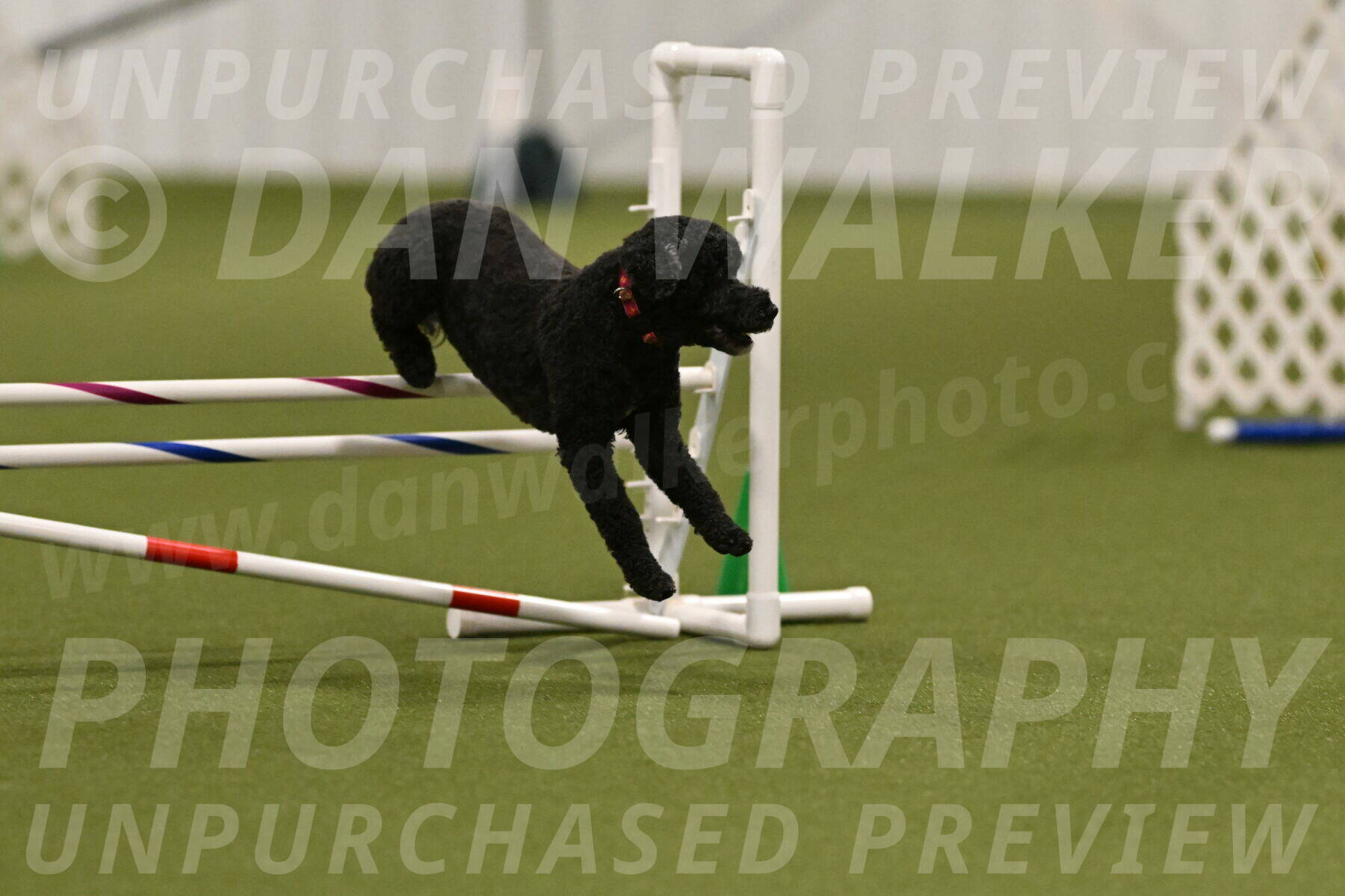 Nixie-Stacie-Rosenburg-00446