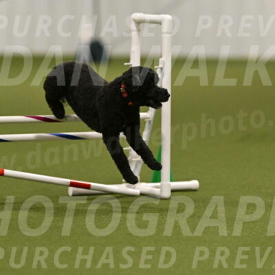 Nixie-Stacie-Rosenburg-00446