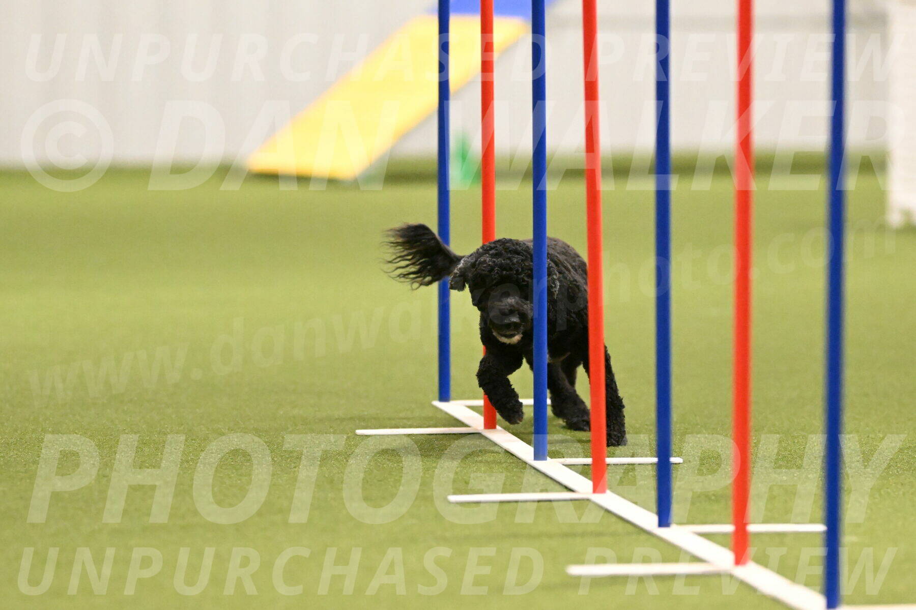 Nixie-Stacie-Rosenburg-00447