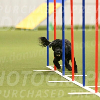 Nixie-Stacie-Rosenburg-00447