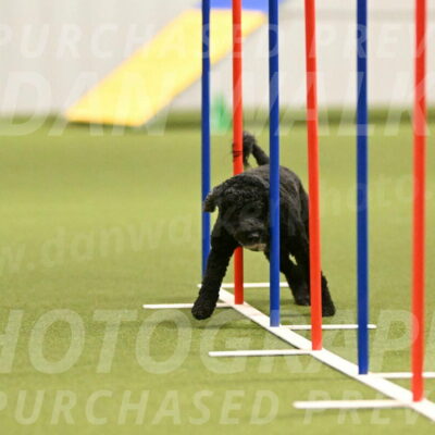 Nixie-Stacie-Rosenburg-00448