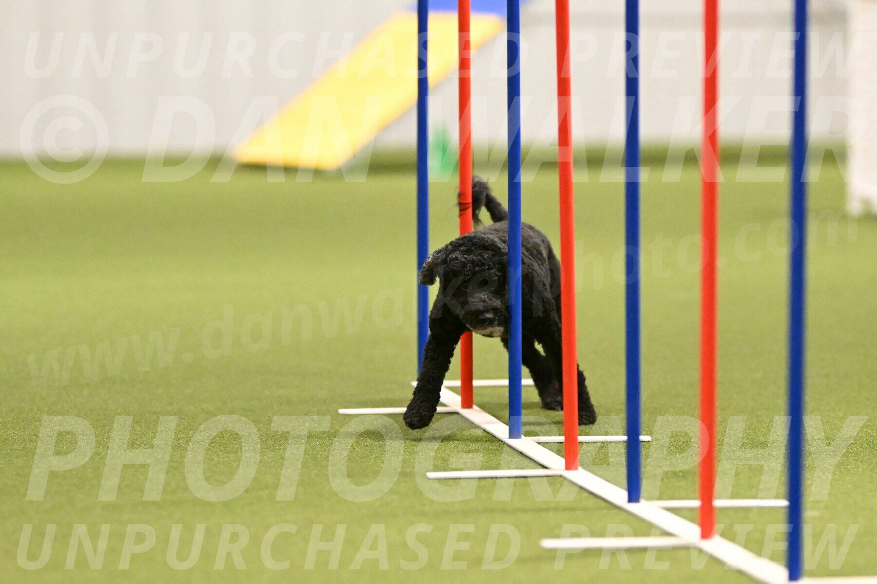 Nixie-Stacie-Rosenburg-00448