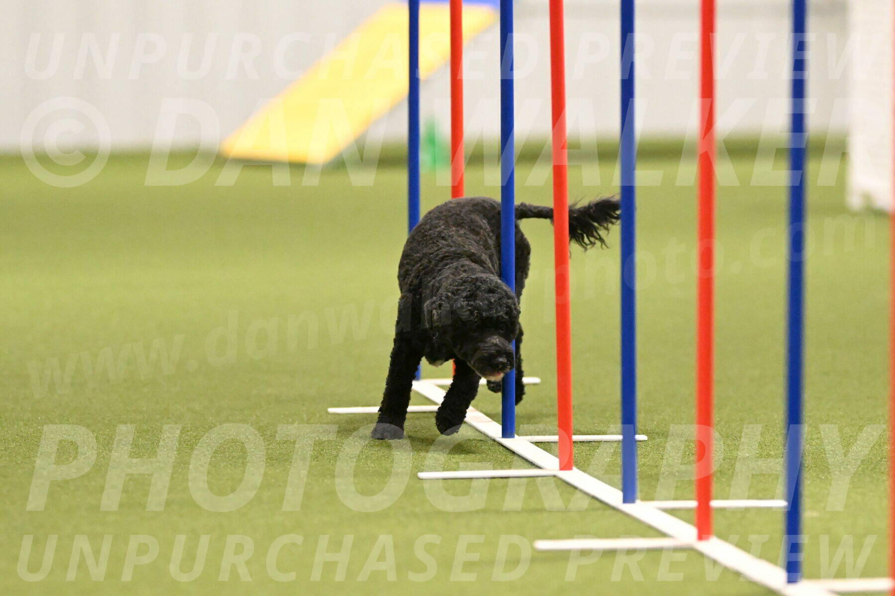 Nixie-Stacie-Rosenburg-00449