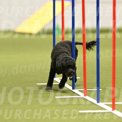 Nixie-Stacie-Rosenburg-00449