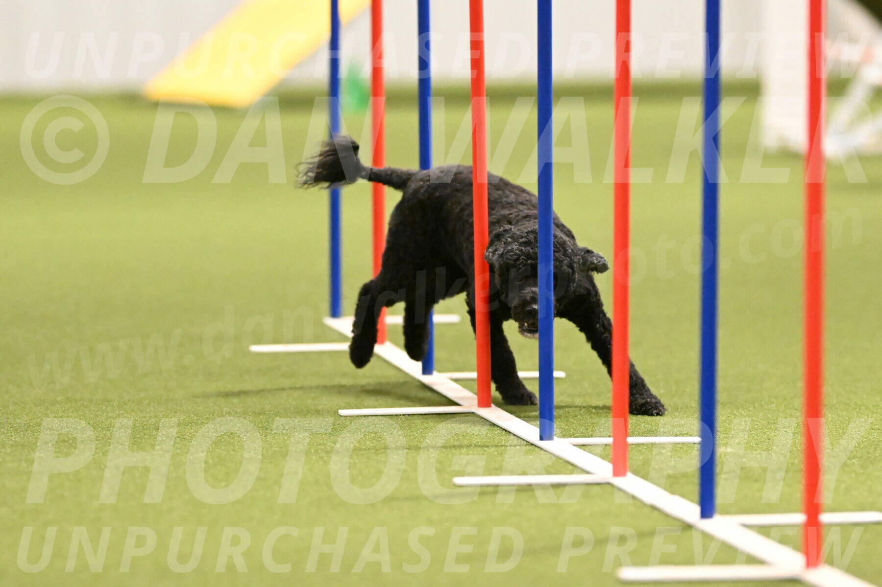 Nixie-Stacie-Rosenburg-00450