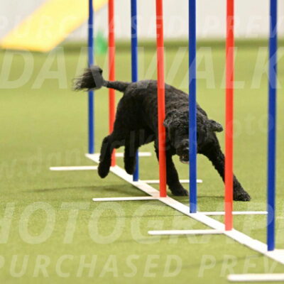 Nixie-Stacie-Rosenburg-00450