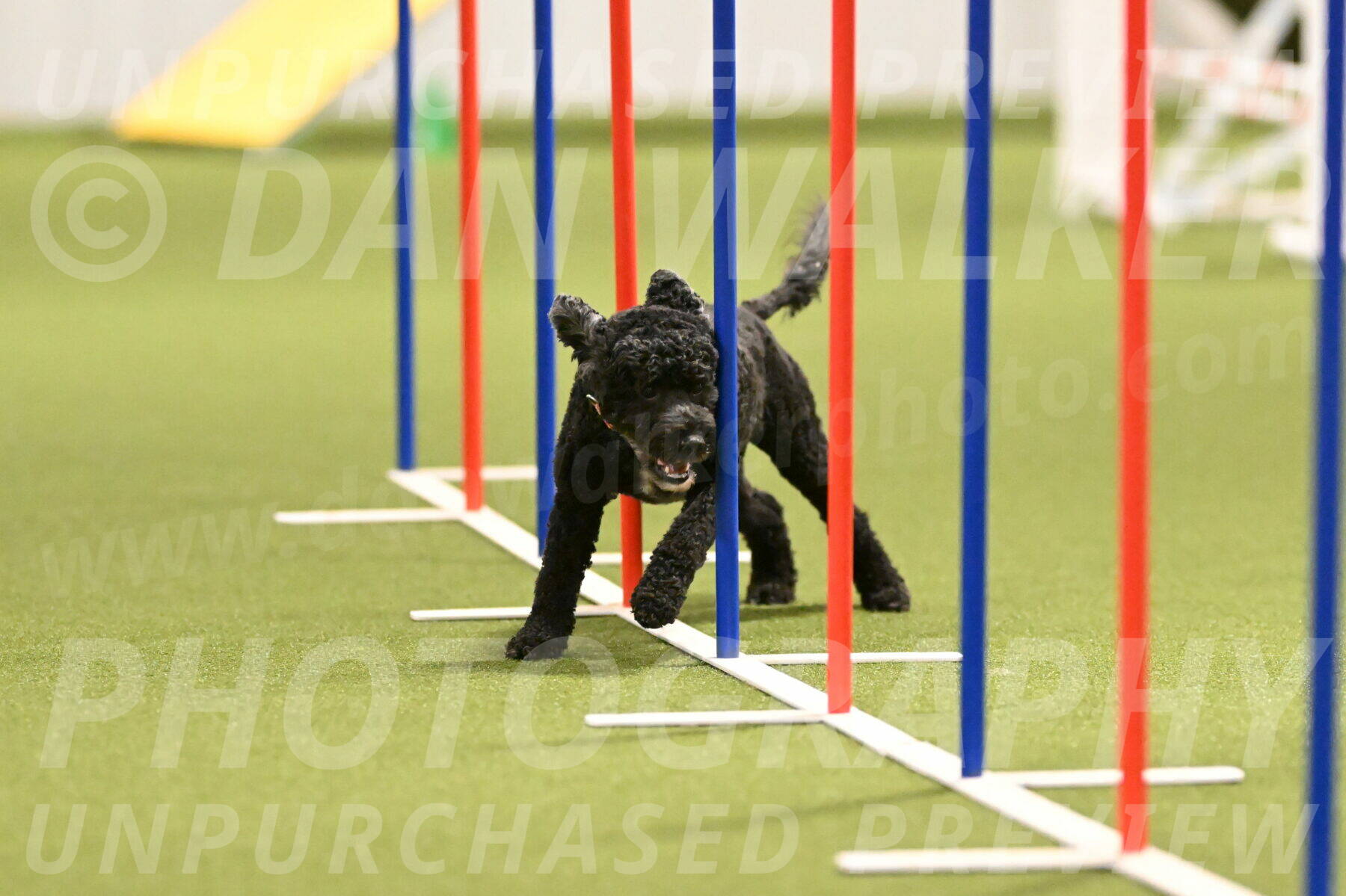 Nixie-Stacie-Rosenburg-00451