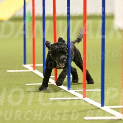 Nixie-Stacie-Rosenburg-00451