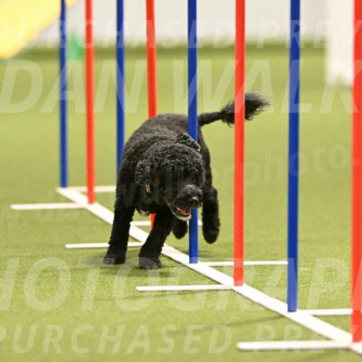 Nixie-Stacie-Rosenburg-00452