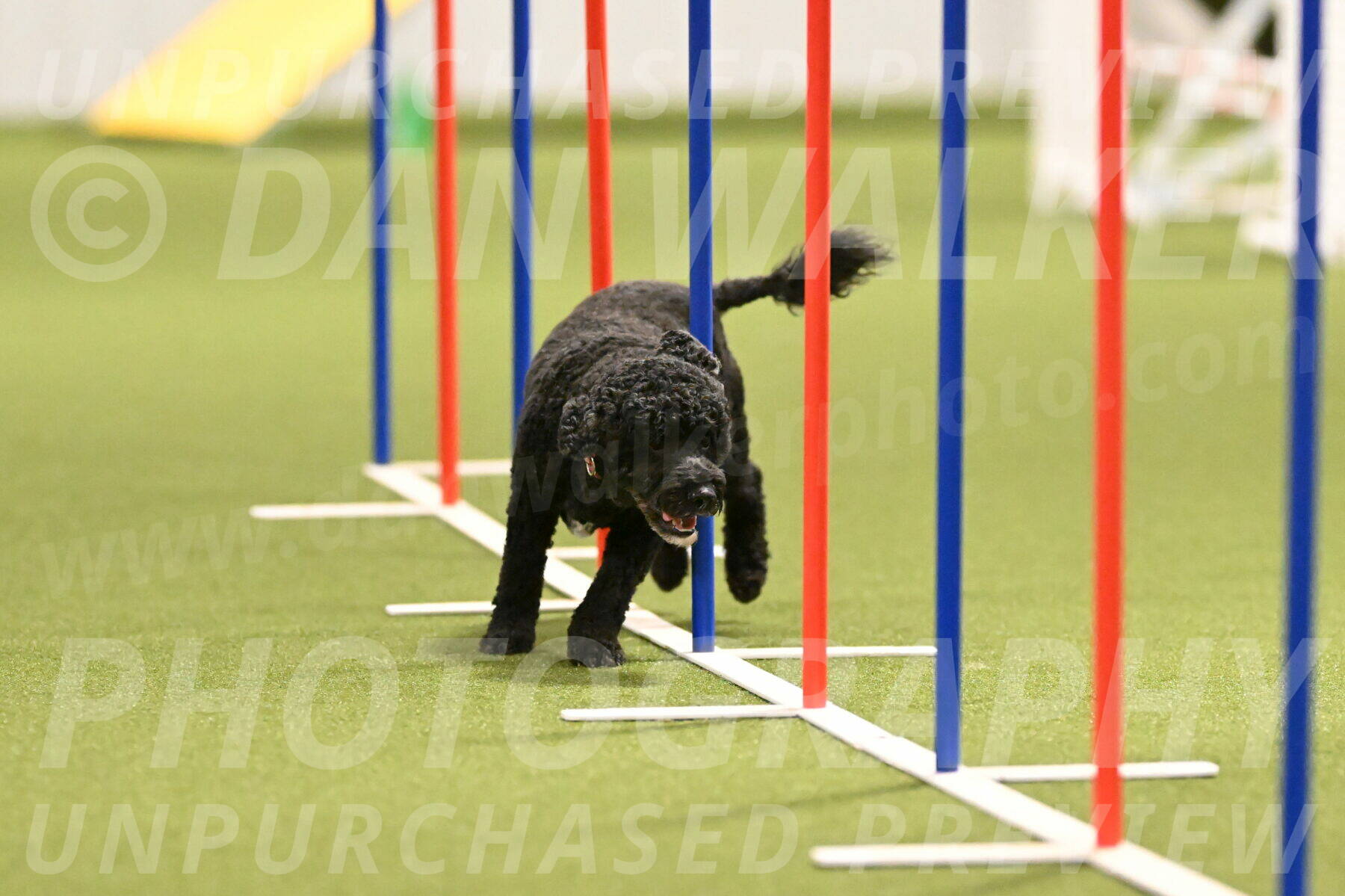 Nixie-Stacie-Rosenburg-00452