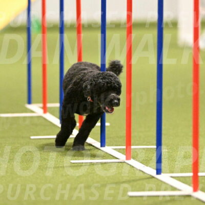 Nixie-Stacie-Rosenburg-00453