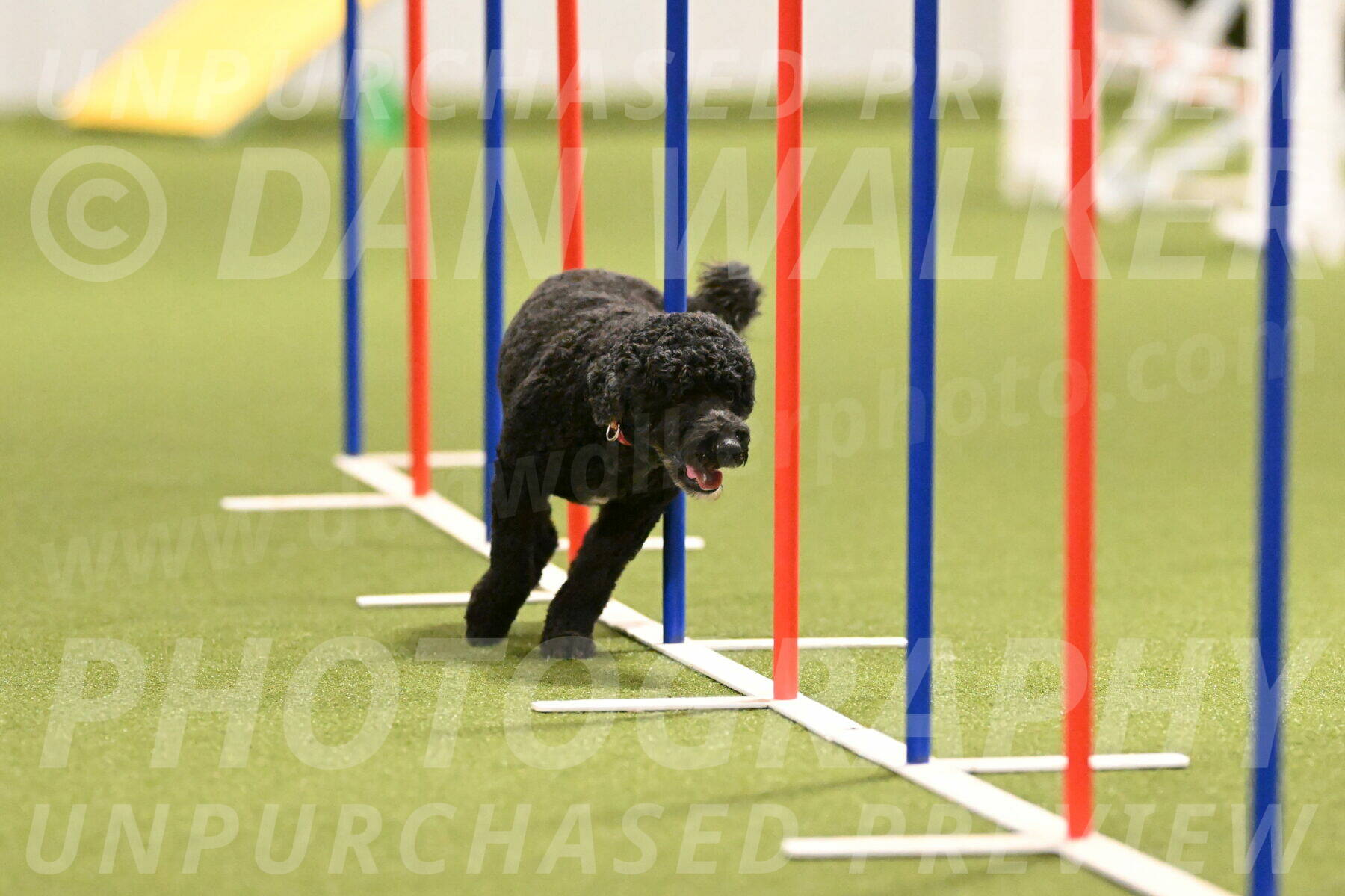 Nixie-Stacie-Rosenburg-00453