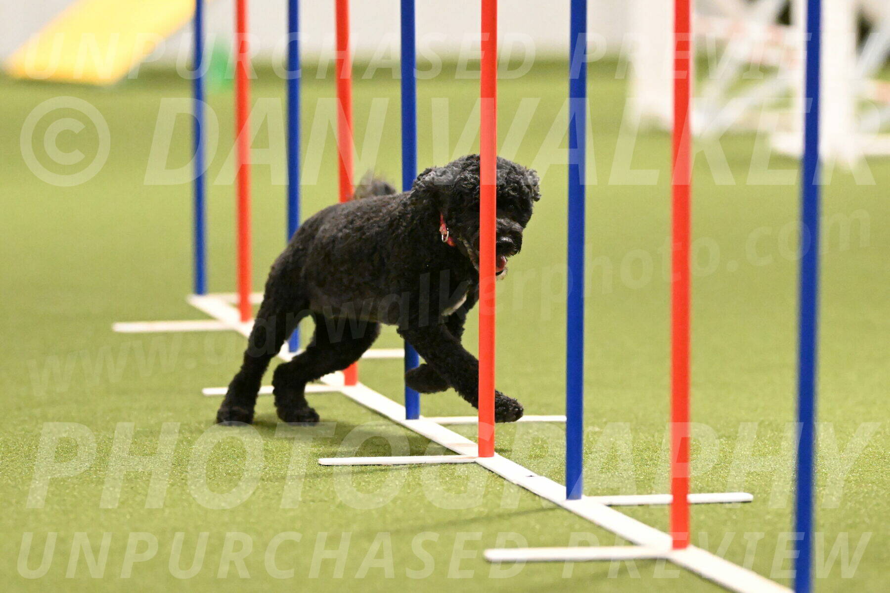 Nixie-Stacie-Rosenburg-00454