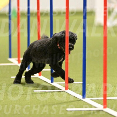 Nixie-Stacie-Rosenburg-00454